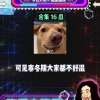 娱乐八卦吃瓜网站